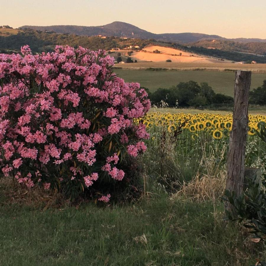 Appartamento Agriturismo Barbicate Saturnia Esterno foto